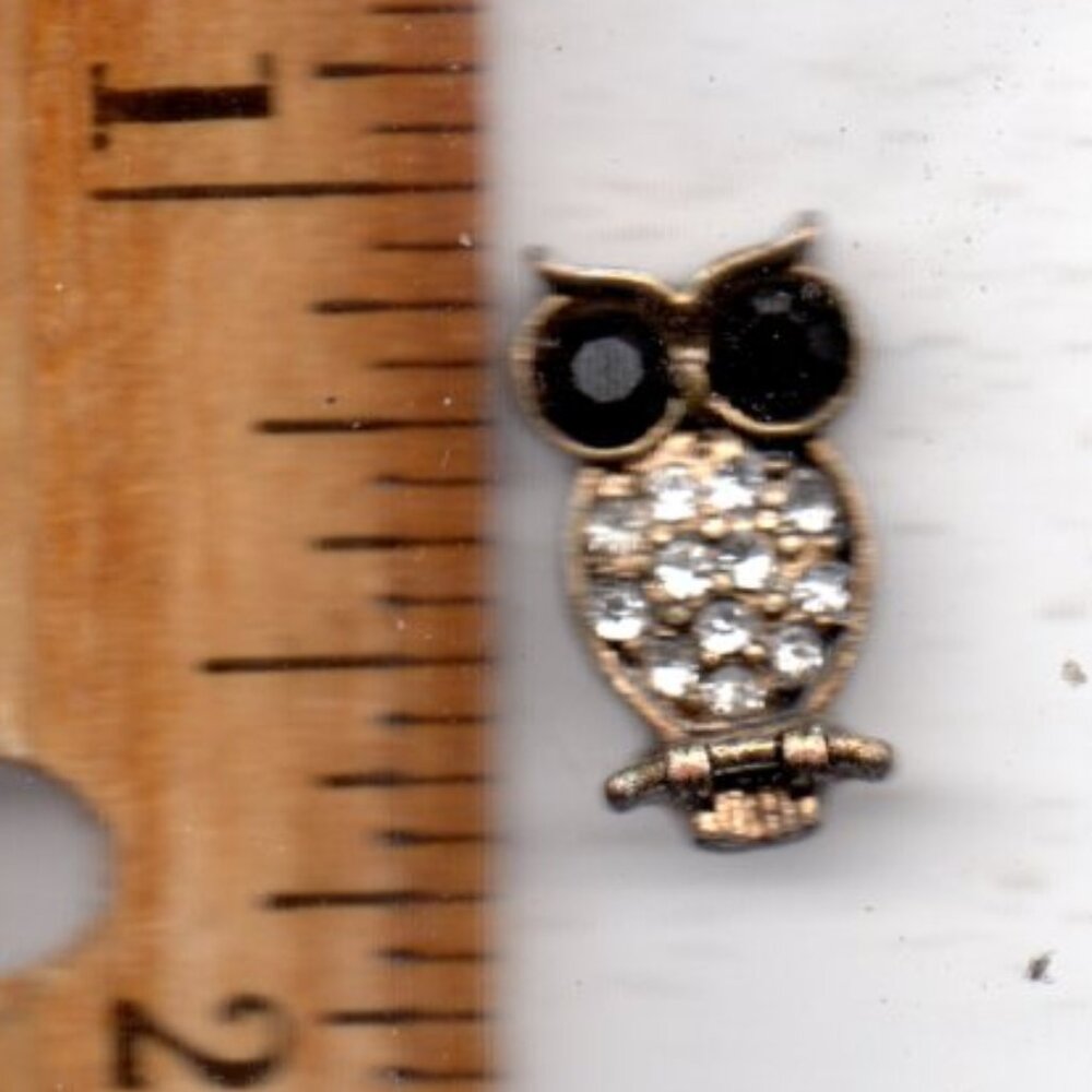 Vintage Ladies Owl Label Pin